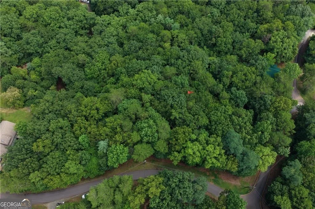 34 Laurel Ridge Drive, Ellijay, GA, 30536