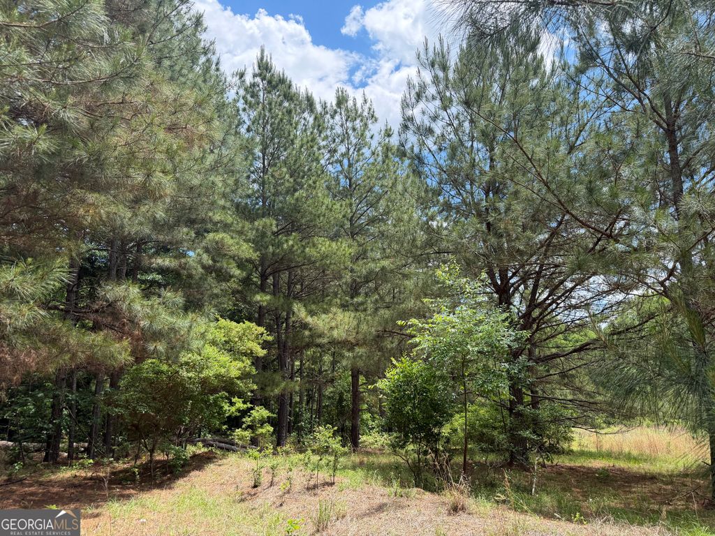 Photo of 8 George Milling Rd ST, Toomsboro, GA 31090 (MLS # 10769733)