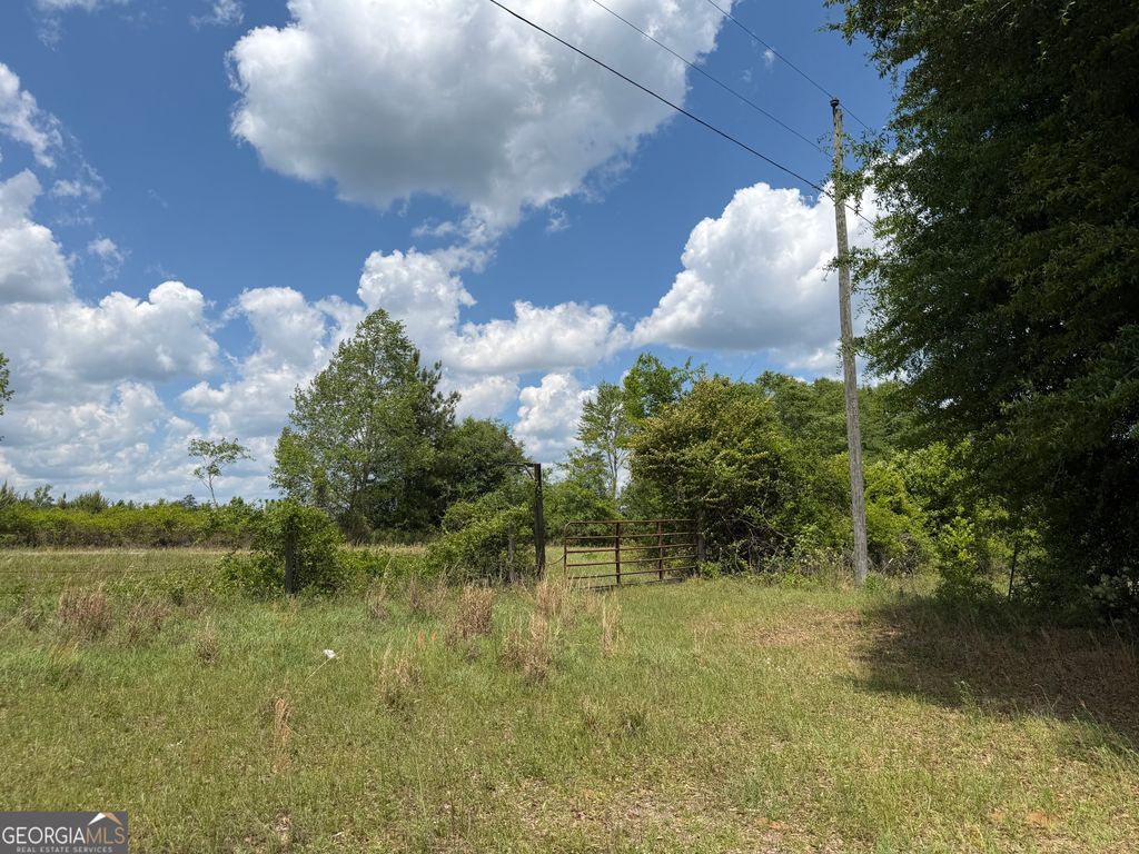 Photo of 8 George Milling Rd ST, Toomsboro, GA 31090 (MLS # 10769733)