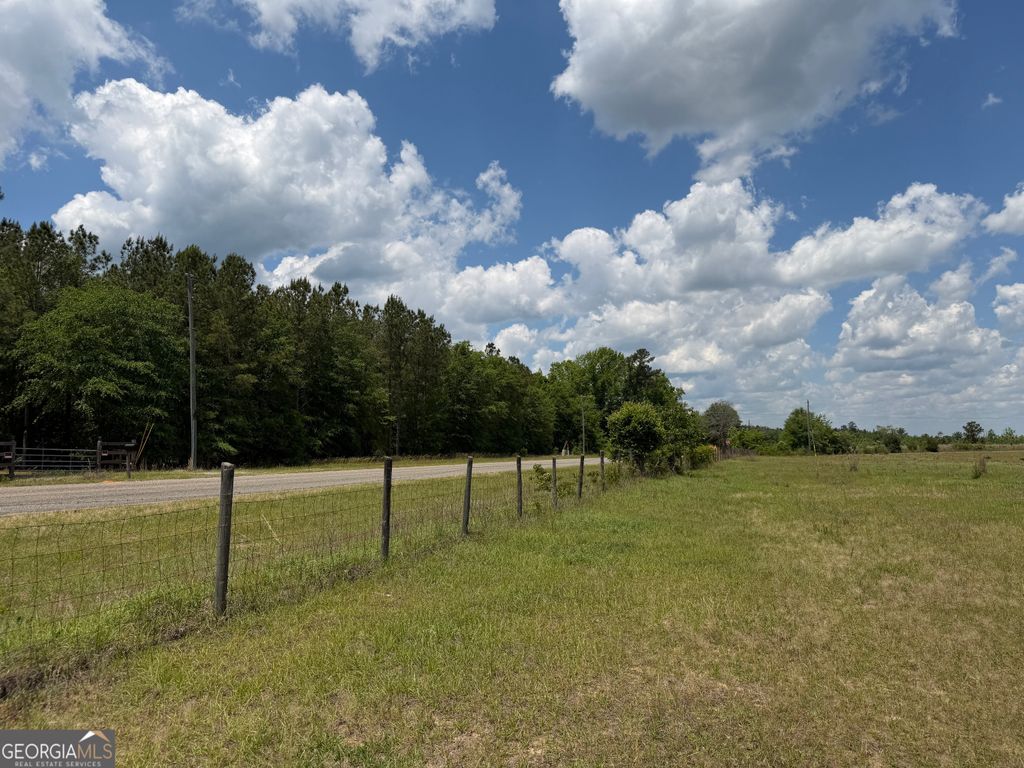 Photo of 8 George Milling Rd ST, Toomsboro, GA 31090 (MLS # 10769733)