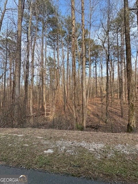 Photo of 0 Cascade Palmetto Highway, Fairburn, GA 30213 (MLS # 10702186)