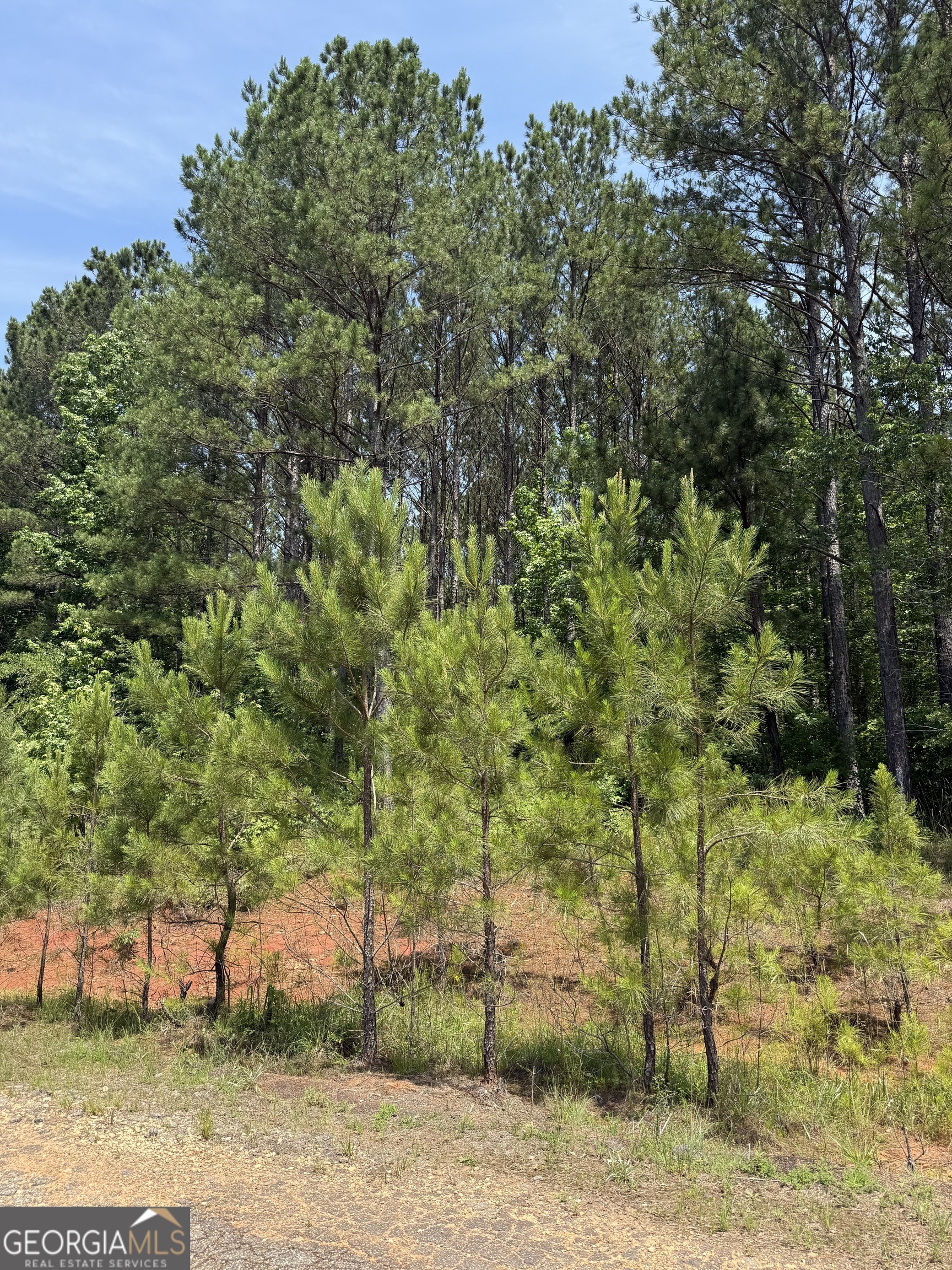 Check out this 5-acre residential lot in the countryside of Eatonton, Georgia with NO RESTRICTIVE COVENANTS meaning more freedom to build as you please. Located right off of Pea Ridge Road and Hwy 441, you will have quick and easy access to Lake Sinclair and Milledgeville's amenities. If you're looking to build your dream home or have your own forested retreat, this private and natural setting offers the perfect blend of seclusion and opportunity.