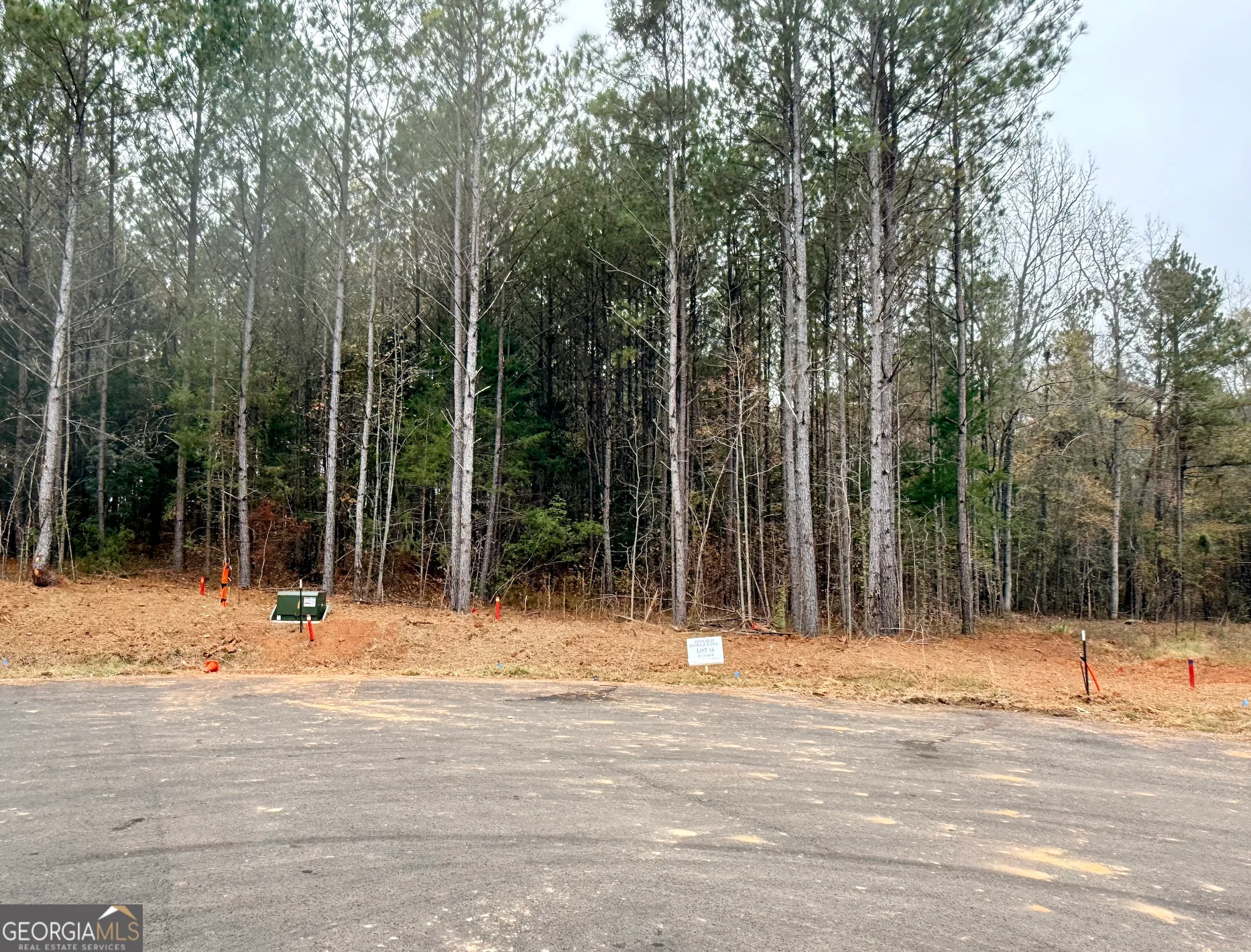LOT 16 Rolling Meadows Way, Waverly Hall, GA, 31831