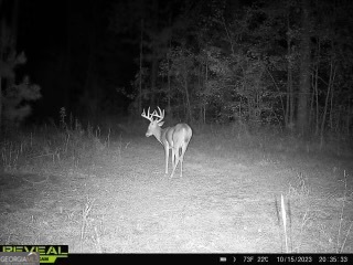 0 Weaver Jones RD