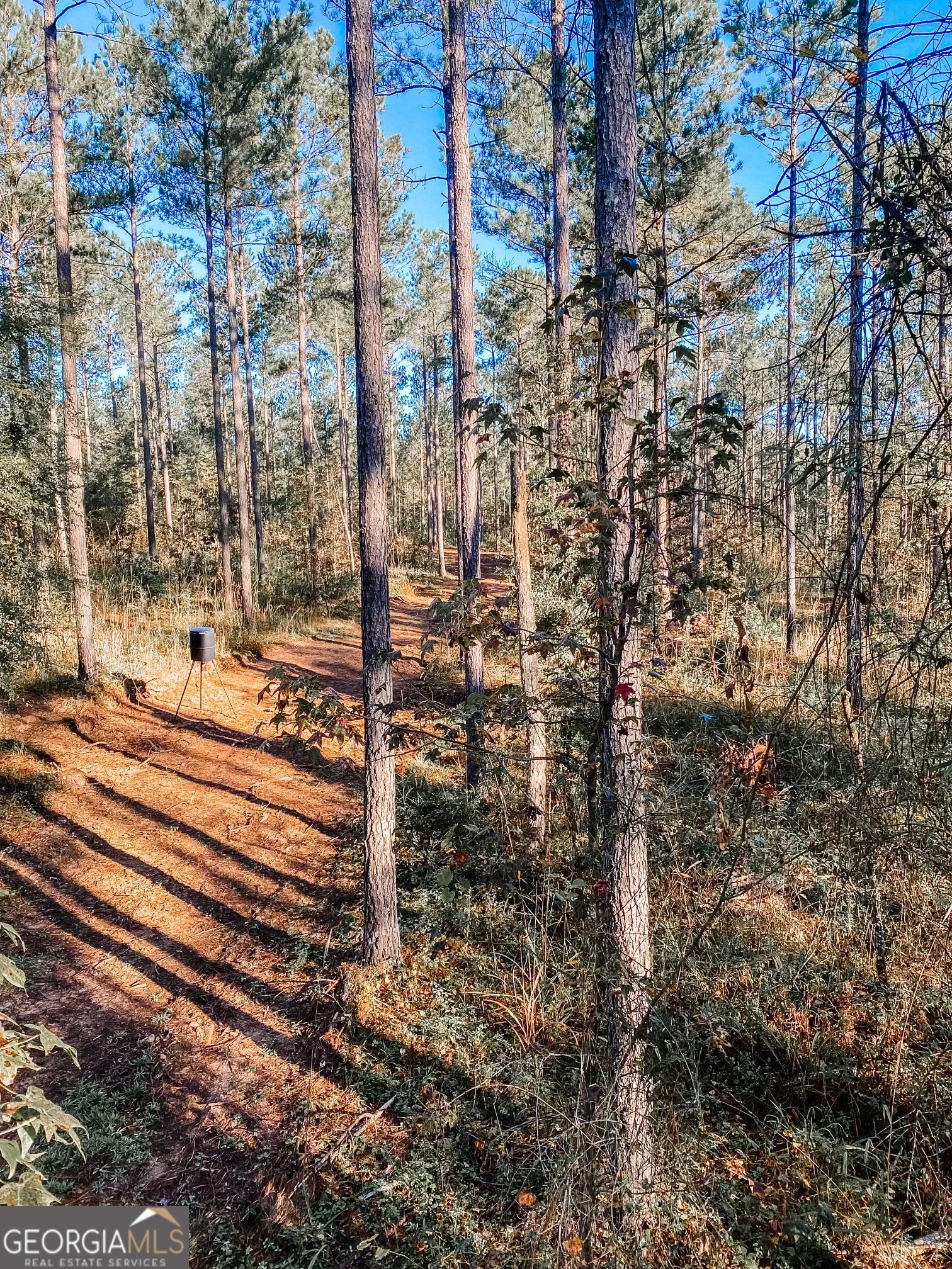 0 Weaver Jones RD
