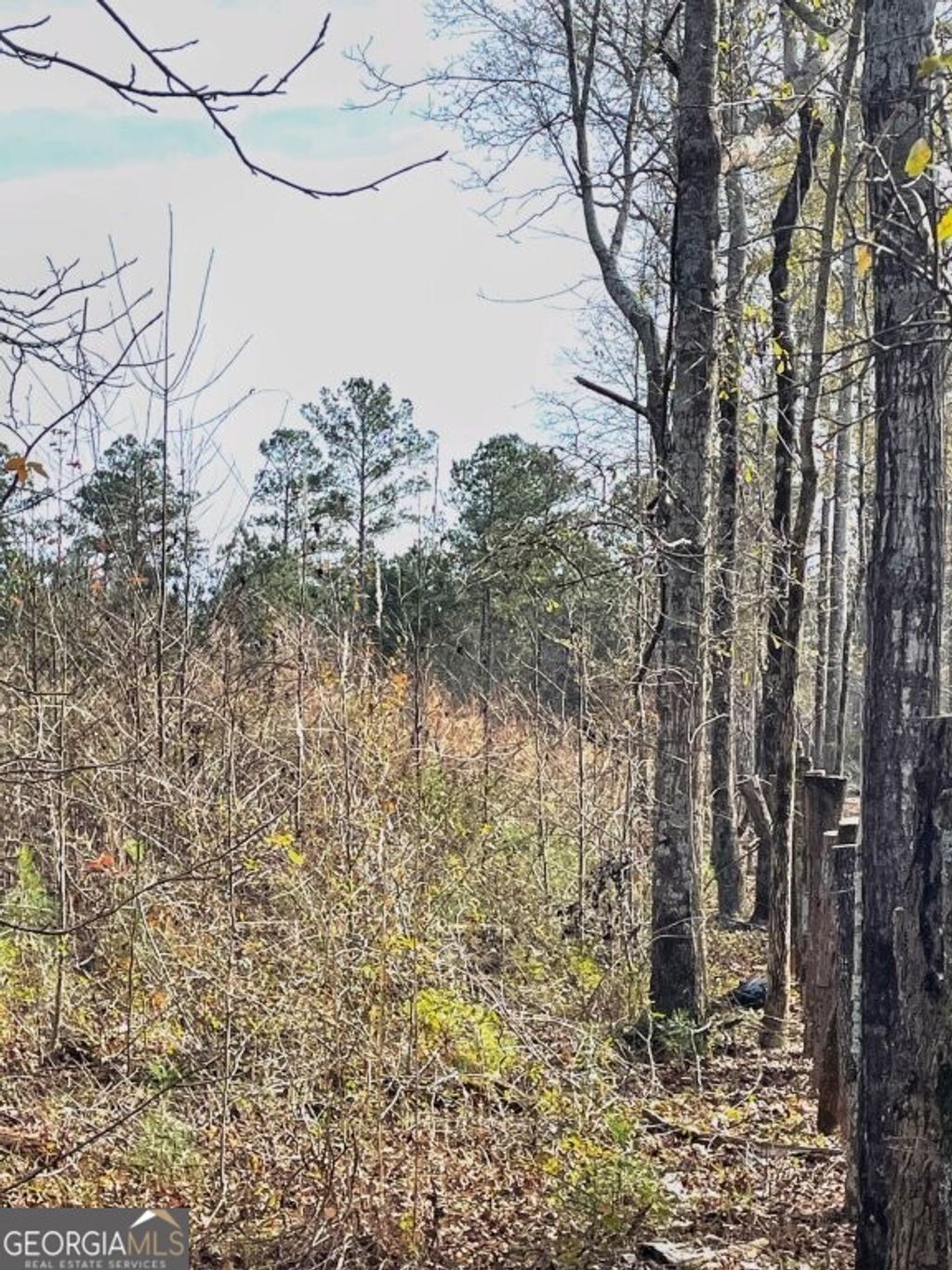 Photo of 0 Zebulon Road, Milner, GA 30257 (MLS # 10675983)