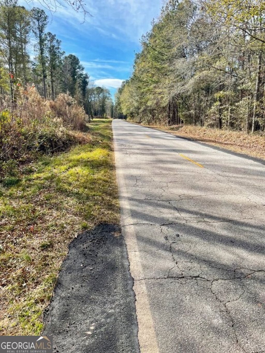 Photo of 0 Zebulon Road, Milner, GA 30257 (MLS # 10675983)