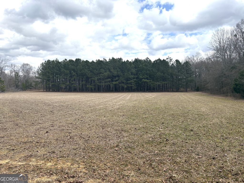 Photo of 5 W. Quaker Road, Keysville, GA 30816 (MLS # 10705033)