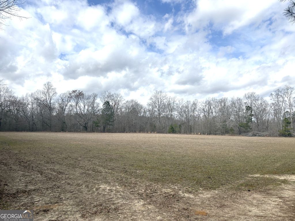 Photo of 5 W. Quaker Road, Keysville, GA 30816 (MLS # 10705033)