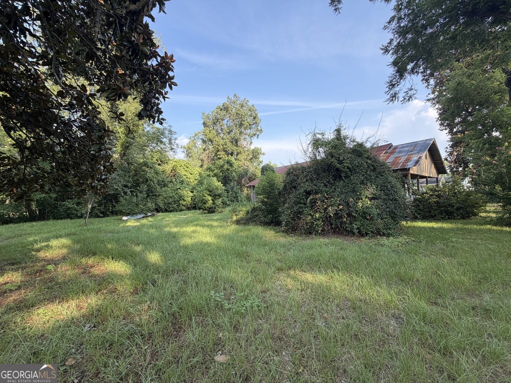 Photo of 321 Leo Marshall Street, Blackshear, GA 31516 (MLS # 10817413)