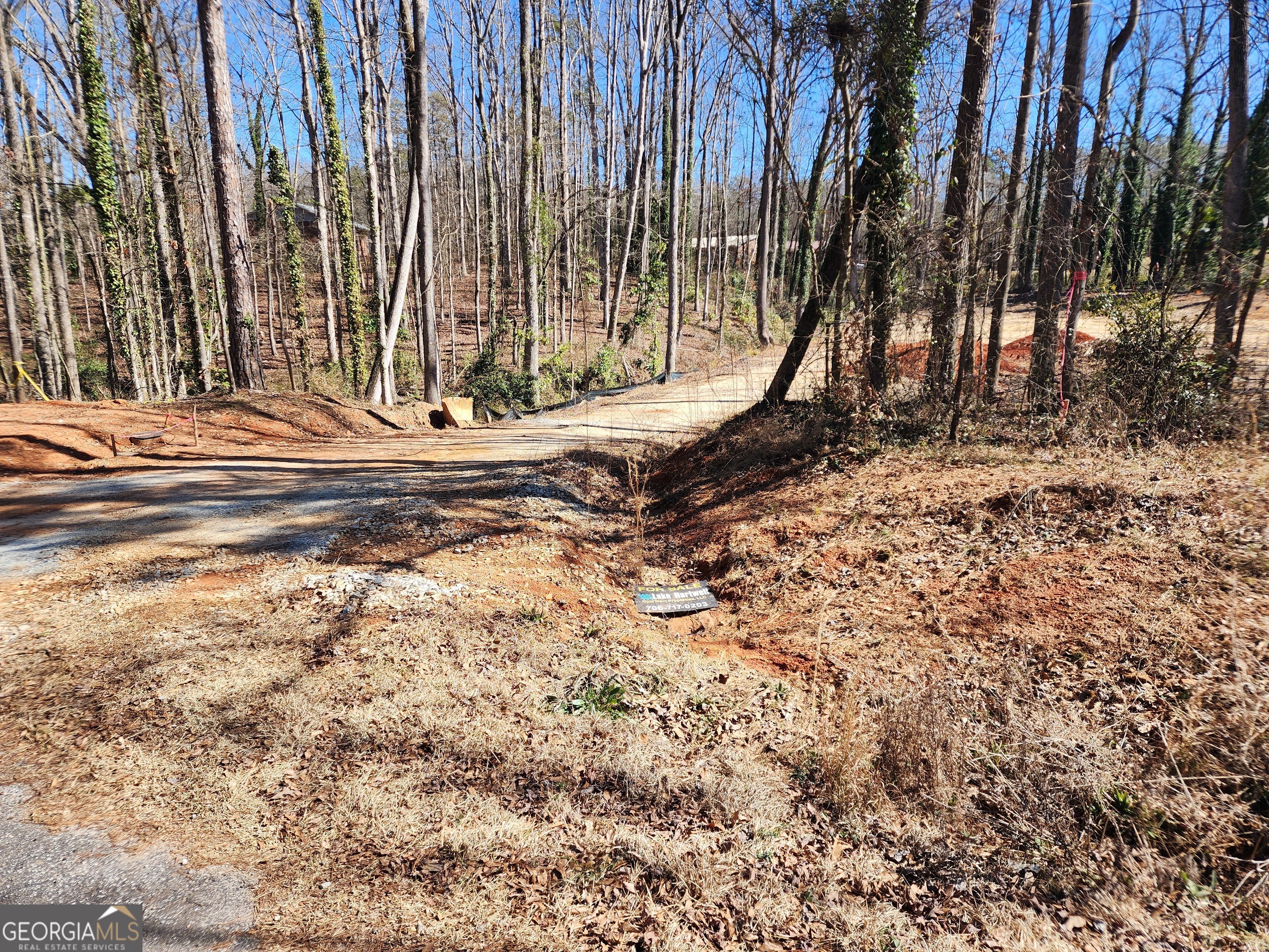8A Forest Creek CIR