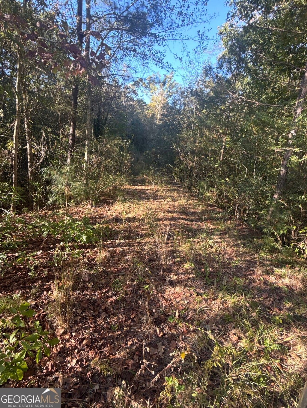 Photo of 939 Chappell Mill Road, Milner, GA 30257 (MLS # 10880209)