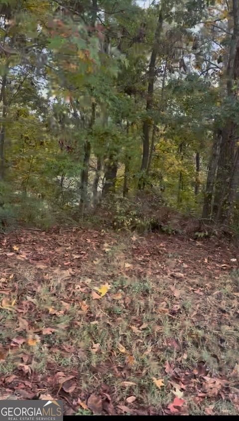 Photo of 0 Blacks Bluff Rd, Cave Spring, GA 30124 (MLS # 10677033)