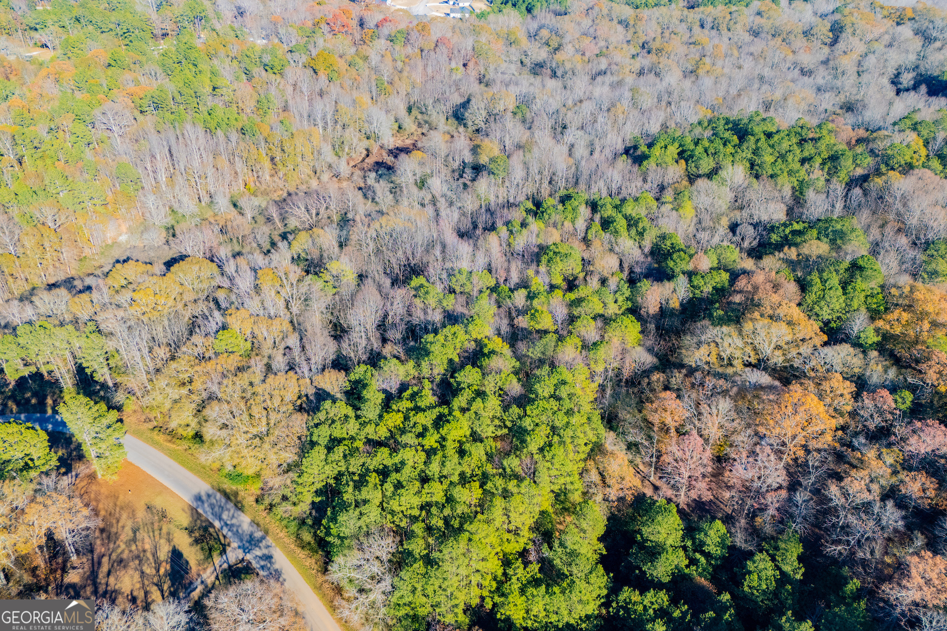 36.70 ACRES Holmes  Road