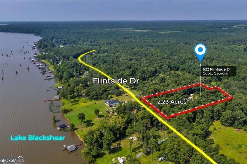 Photo of 622 Flintside Drive, Cobb, GA 31735 (MLS # 10742154)