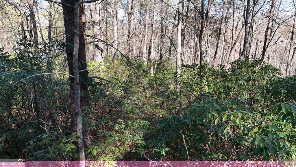 Photo of 2 Crumley Creek Road, Sautee Nacoochee, GA 30571 (MLS # 10776178)