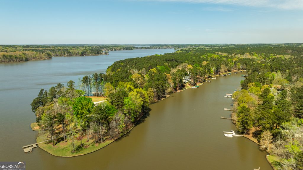 Photo of 1810 Parks Mill Drive, Greensboro, GA 30642 (MLS # 10768807)