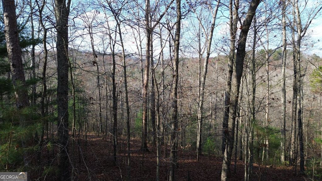 Photo of 865 Bolster Lane, Ranger, GA 30734 (MLS # 10679534)