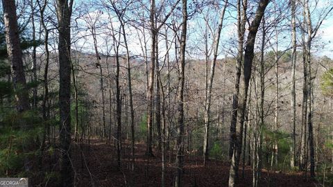 Photo of 865 Bolster Lane, Ranger, GA 30734 (MLS # 10679534)