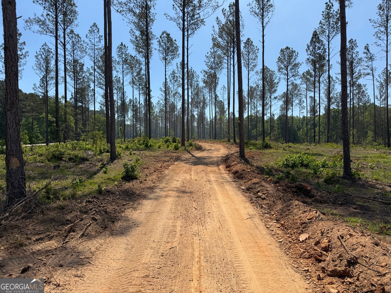 4 Lexington Estates - HWY 22