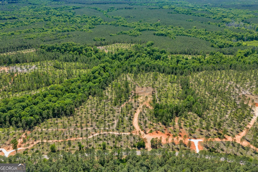 Photo of 4 Lexington Estates - HWY 22, Lexington, GA 30648 (MLS # 10794311)