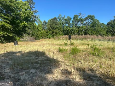 0 Bull Branch RD Midville GA 30441