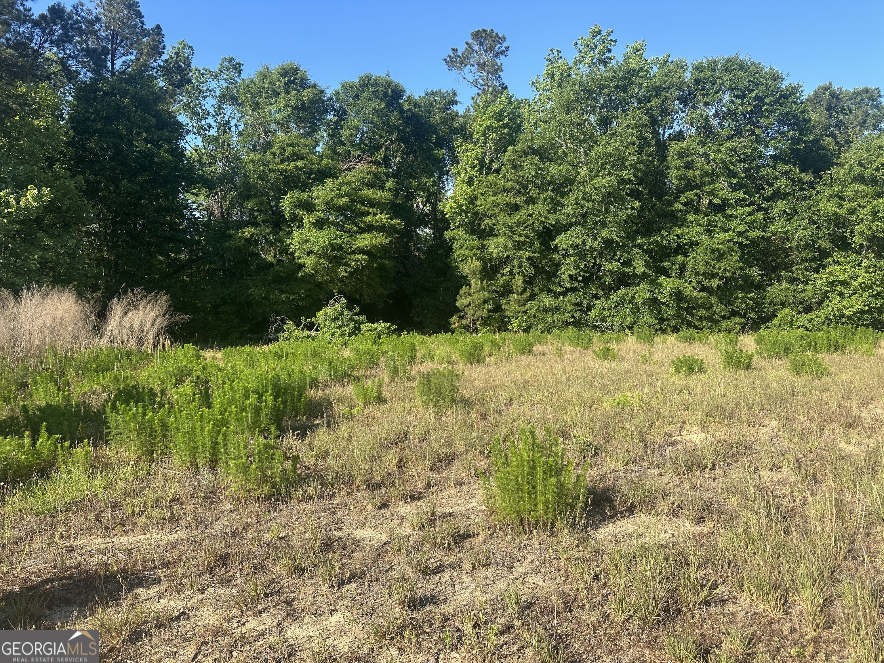 0 Bull Branch RD