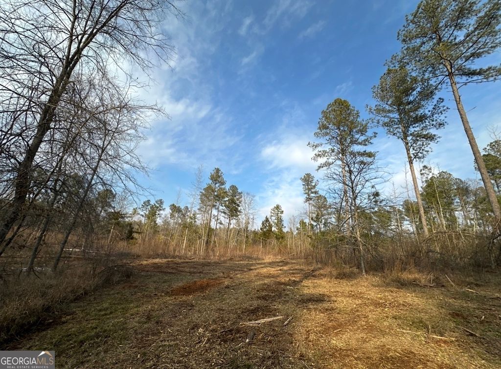 Photo of 21 Emmaus Drive, Elberton, GA 30635 (MLS # 10683644)