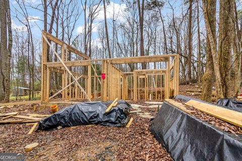 3 Hideaway Morganton GA 30560