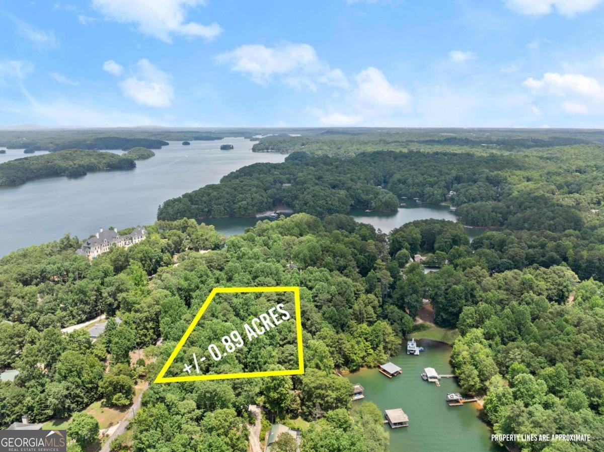 20-21 Pine Forest CIR