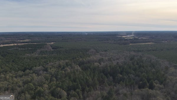 166 COUNTRY CLUB RD, SYLVANIA, GA 30467 - Image 474cf51b85891da67d5ce0652e8a711a/3993111987