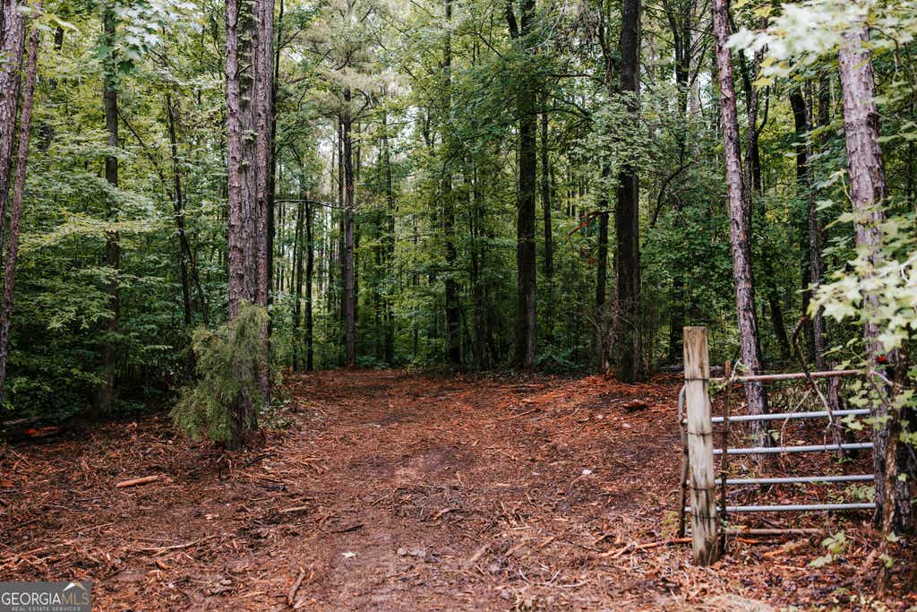 Photo of 171 Glenwood Springs Terrace, Eatonton, GA 31024 (MLS # 10798456)
