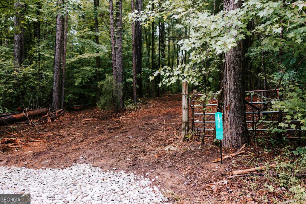 Photo of 171 Glenwood Springs Terrace, Eatonton, GA 31024 (MLS # 10798456)