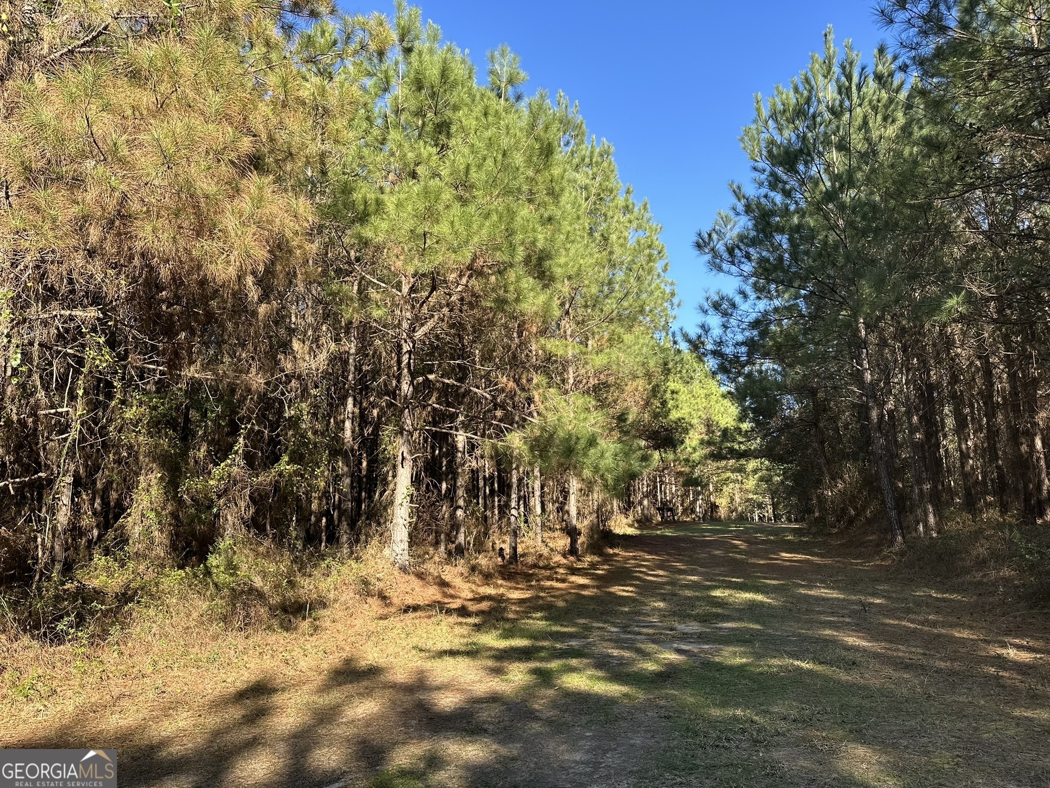 * Rural Hunting Tract or Homesite in a Really Nice Area of Houston County, Plenty of Perfect Building Sites for a Cabin, Permanent Residence, or Hunting Pole Barn and Camper * Beautiful Creek Traverses the Western Side of the Property * Fully Wooded Tract with Mature Pine and Big Acorn Producing Hardwoods * County Maintained Paved Road Frontage, Power Available * Really Nice Hunting with Plenty of Deer, Turkey, Ducks on the Creek, and Some Hogs * Close to the Quaint Town of Cottonwood, this Tract is 13-miles to Dothan, 60-miles to Panama City Beach * Additional Acreage Available, Brand New Survey, Call Land Agent Sanders Walker with Questions, Agents Welcome * Henley Land has Other Tracts in Georgia and Alabama, Call For Details * Broker/ Owner