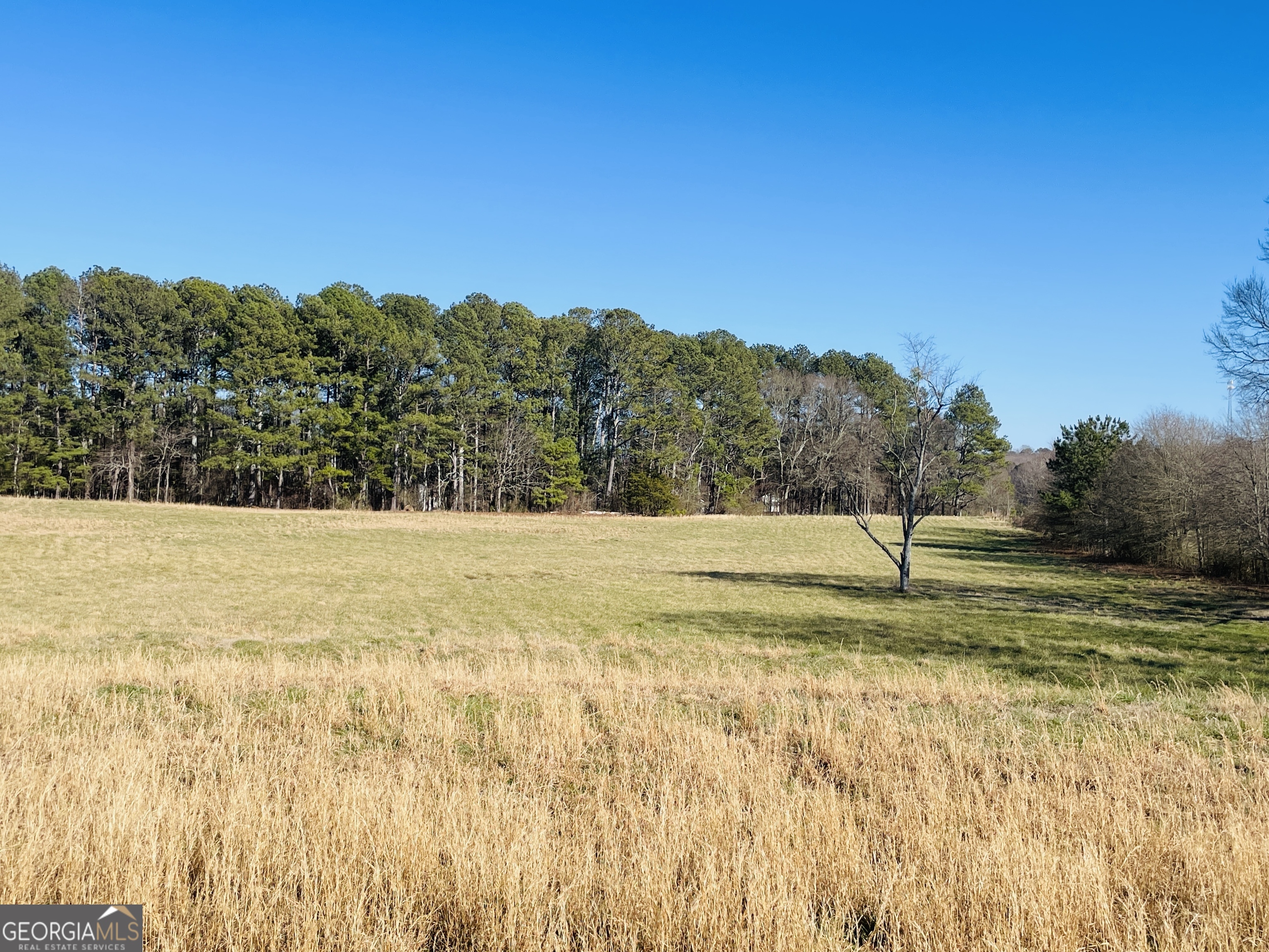 481 Mt. Moriah RD