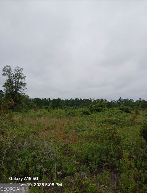 0 (LOT 5) Dogwood LN LOT 5 Folkston GA 31537