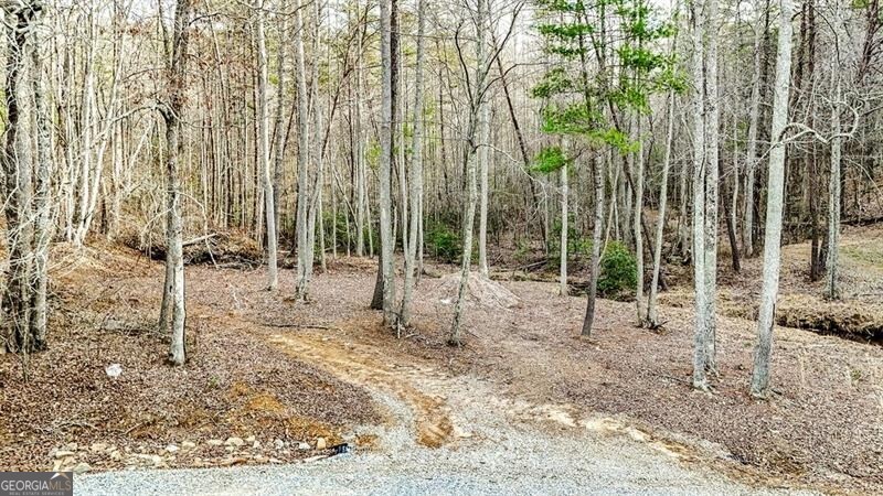 Blairsville, Georgia 30512, United States, ,Land,Active,79499