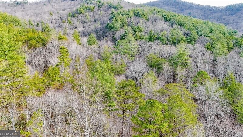 Blairsville, Georgia 30512, United States, ,Land,Active,79499