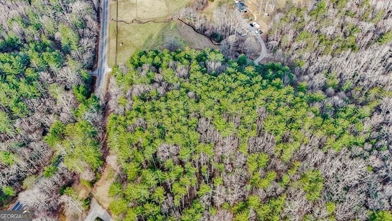 Blairsville, Georgia 30512, United States, ,Land,Active,79499