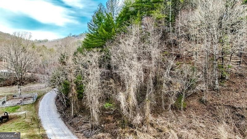 Blairsville, Georgia 30512, United States, ,Land,Active,79499