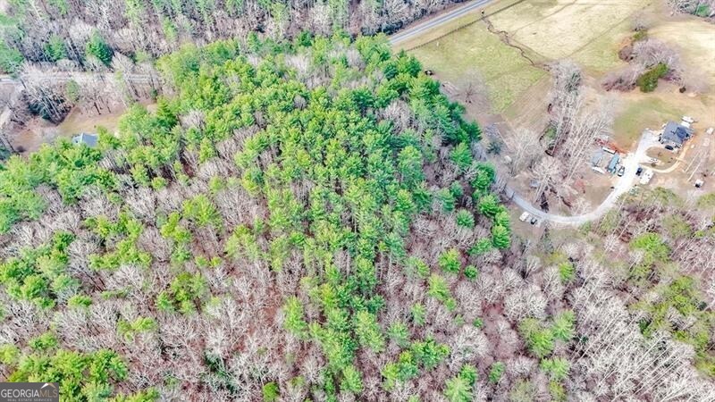 Blairsville, Georgia 30512, United States, ,Land,Active,79499