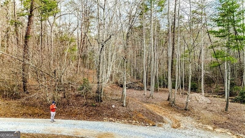 Blairsville, Georgia 30512, United States, ,Land,Active,79499