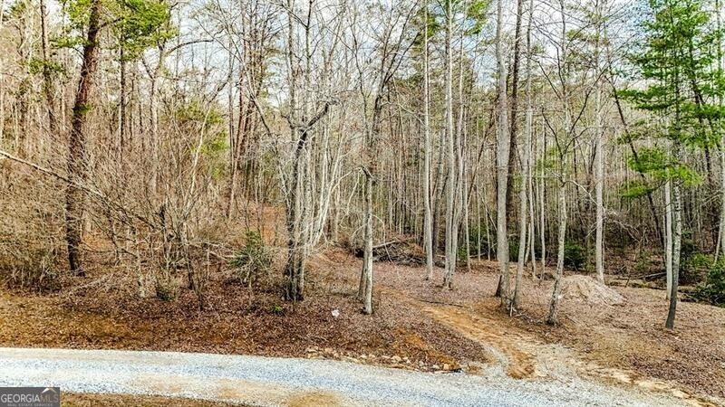 Blairsville, Georgia 30512, United States, ,Land,Active,79499