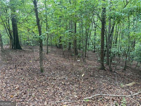 140 Joe Green LN Canton GA 30114