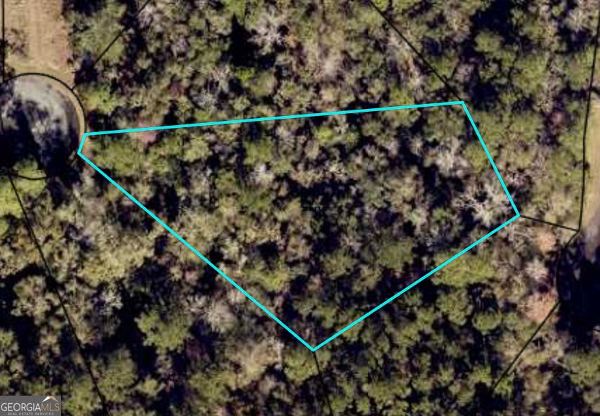 Photo of 0 Turtle Dove Way, Waverly, GA 31565 (MLS # 10826527)