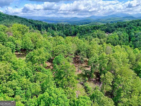 0 Mason RD Brasstown NC 28902