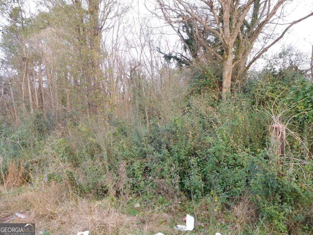 Photo of 0 Forrest Avenue, Rockmart, GA 30153 (MLS # 10652792)