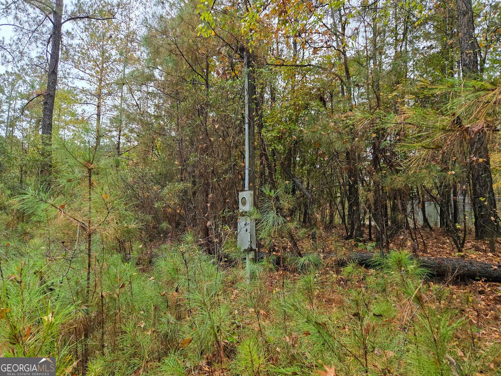 Photo of 599 Lake Sinclair Drive, Sparta, GA 31087 (MLS # 10632881)