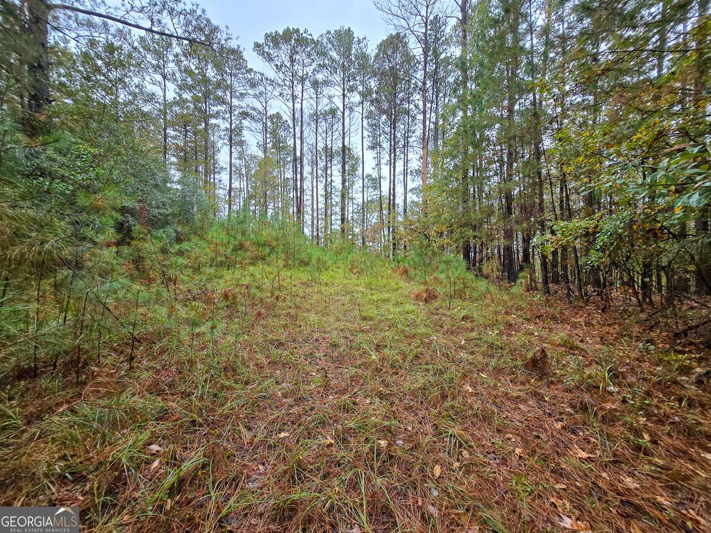 Photo of 599 Lake Sinclair Drive, Sparta, GA 31087 (MLS # 10632881)