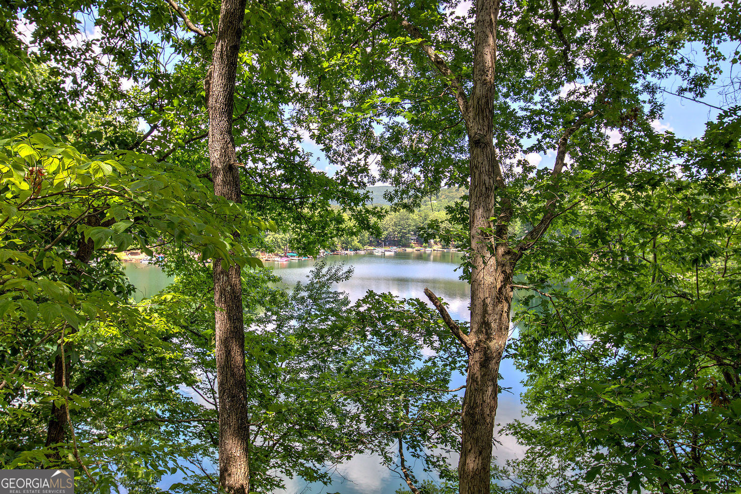 Waleska, Georgia 30183, United States, 3 Bedrooms Bedrooms, ,4 BathroomsBathrooms,Residential,Active,174908